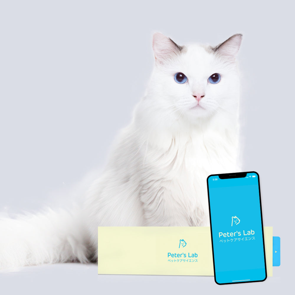 Peter's Lab ピータースラボ スマート検査キット 疾病予測 遺伝子検査 犬用] ピータース・ラボ スマート検査キット 疾病予測/遺伝子
